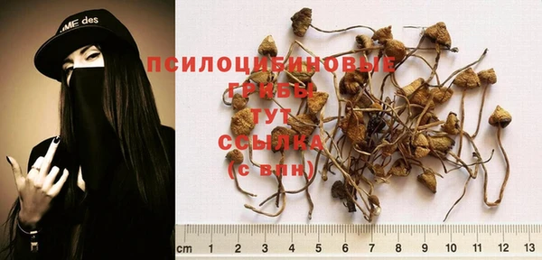 твердый Нефтекумск