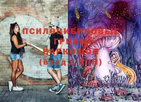 мяу мяу мука Нея