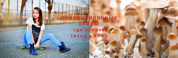 твердый Нефтекумск