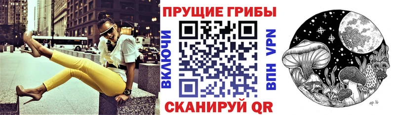 продажа наркотиков  Иноземцево  Галлюциногенные грибы Psilocybine cubensis 